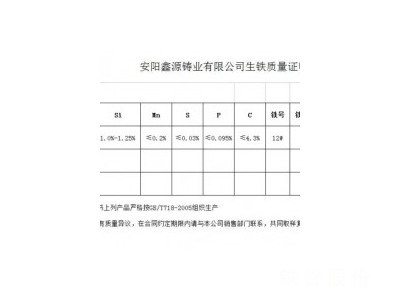 安陽(yáng)鑫源Z8煉鋼鐵圖3