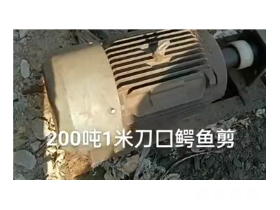 200噸1米刀囗鱷魚剪，1萬(wàn)多塊錢圖3