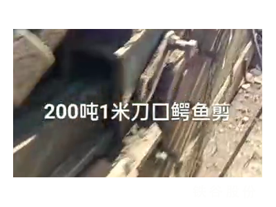 200噸1米刀囗鱷魚剪，1萬(wàn)多塊錢圖2