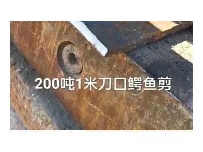 200噸1米刀囗鱷魚剪，1萬(wàn)多塊錢圖5